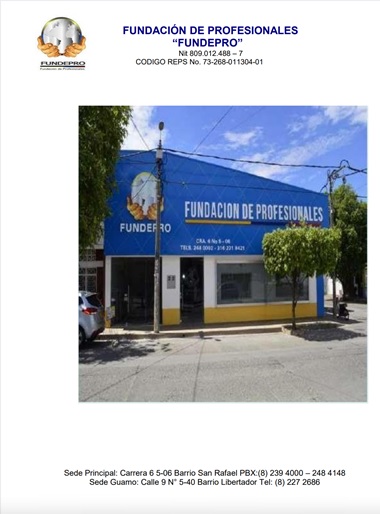 Informe de gestión 2021 Fundación de Profesionales